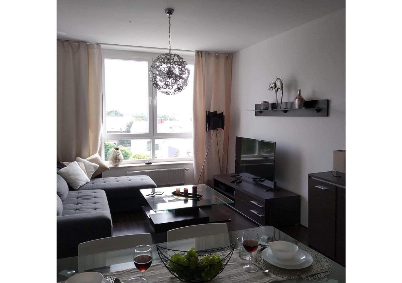 Sunny Penthouse With Roof Gardens Overlooking The Warsaw Palace Of Culture Apartment Pruszkow