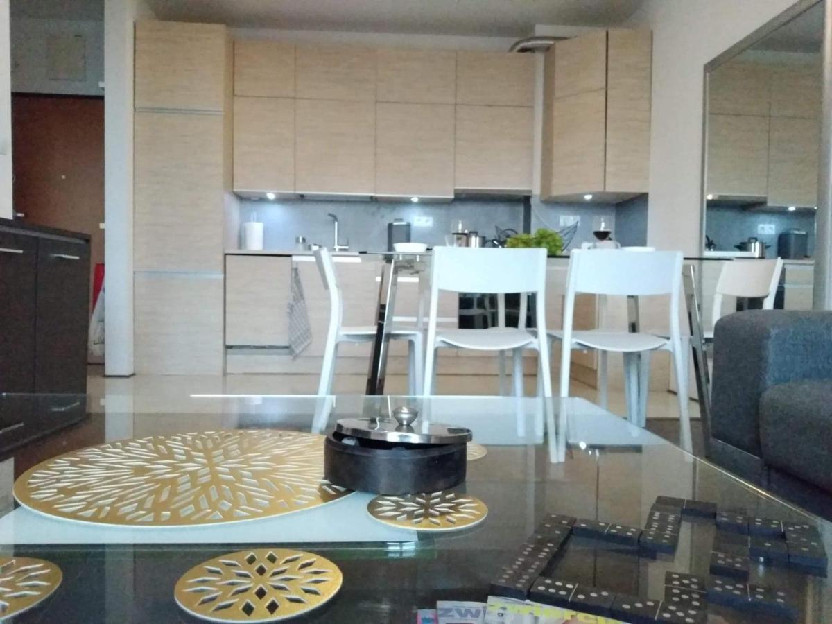 Sunny Penthouse With Roof Gardens Overlooking The Warsaw Palace Of Culture Apartmán