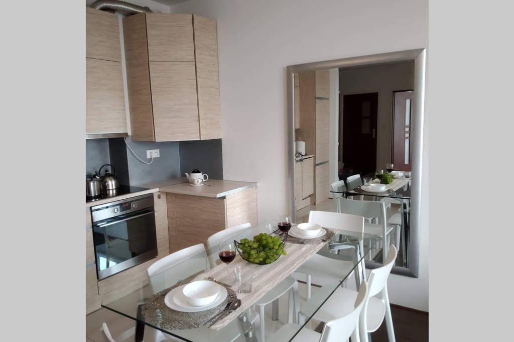 Sunny Penthouse With Roof Gardens Overlooking The Warsaw Palace Of Culture * Pruszkow