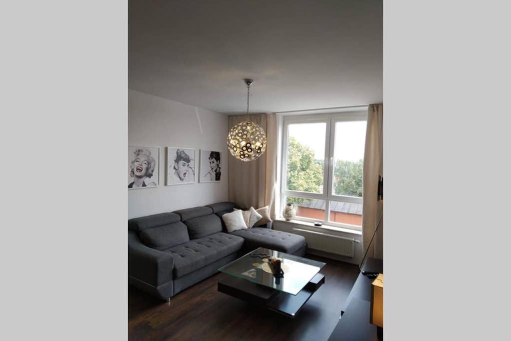 Apartment Sunny Penthouse With Roof Gardens Overlooking The Warsaw Palace Of Culture