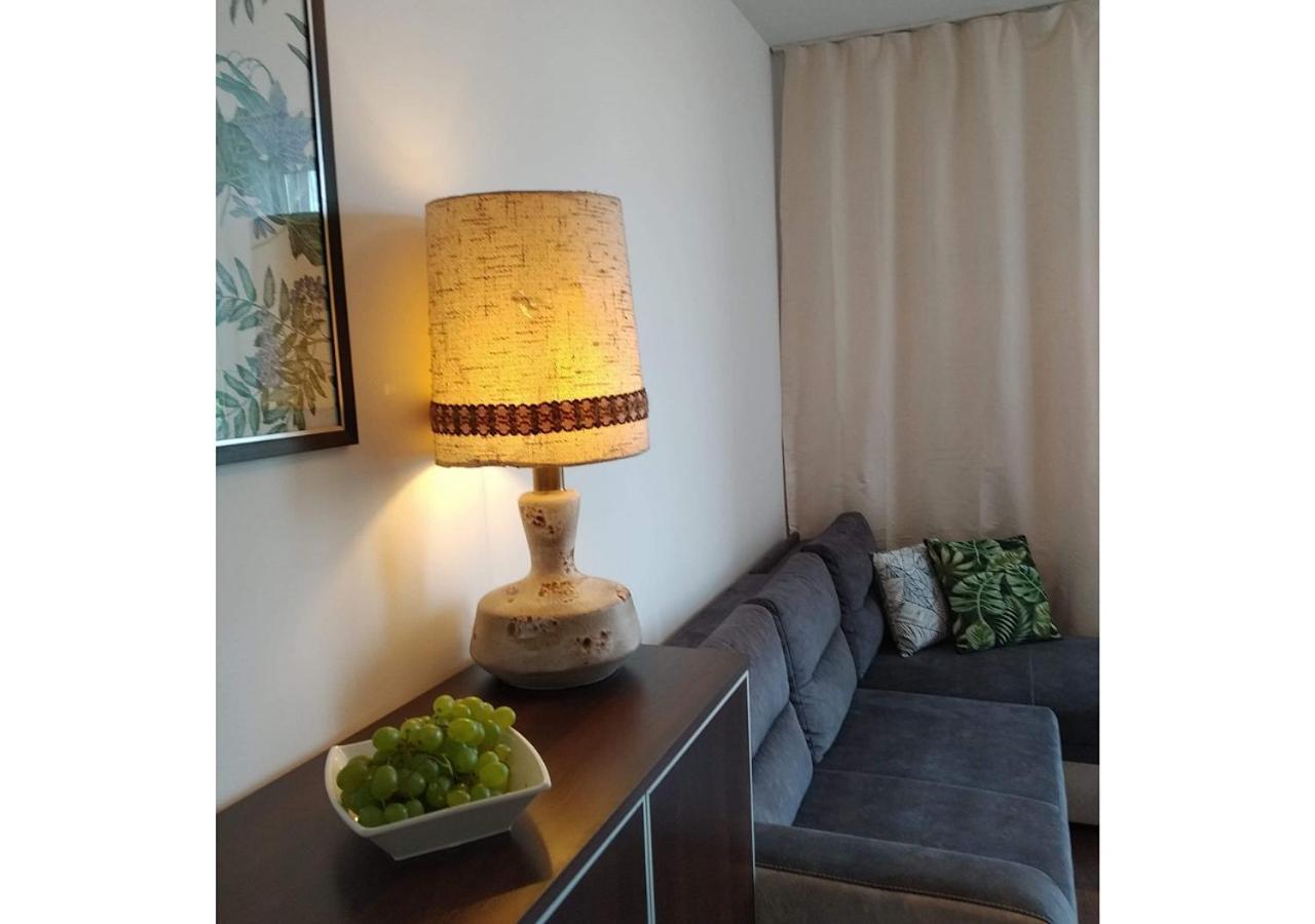 Sunny Penthouse With Roof Gardens Overlooking The Warsaw Palace Of Culture *